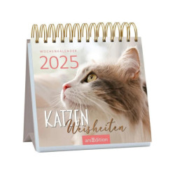 Mini-Wochenkalender Katzenweisheiten 2025